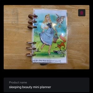 sleeping beauty mini planner